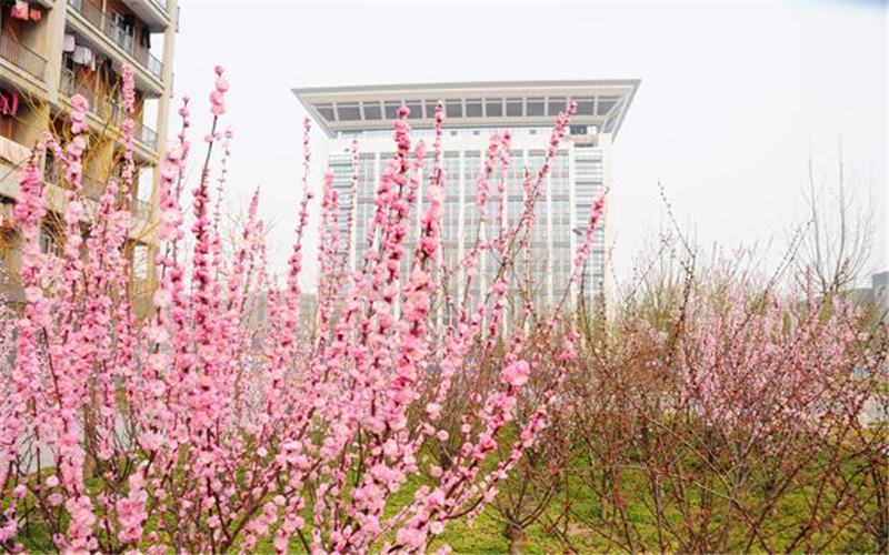 河南財(cái)經(jīng)政法大學(xué)地理信息科學(xué)專(zhuān)業(yè)錄取分?jǐn)?shù)線(xiàn)【四川高考理科】