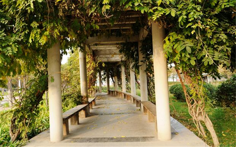 【2023高考參考】河南財經(jīng)政法大學2022年湖北招生專業(yè)及招生計劃一覽表