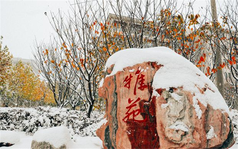 2023年遼寧考生多少分可以上河南財經(jīng)政法大學(xué)計算機(jī)類（計算機(jī)科學(xué)與技術(shù)、物聯(lián)網(wǎng)工程）專業(yè)？