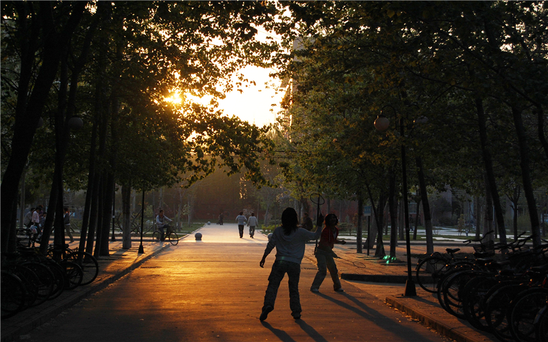 2023年河南師范大學(xué)在青海招生專業(yè)有哪些？學(xué)費(fèi)是多少？