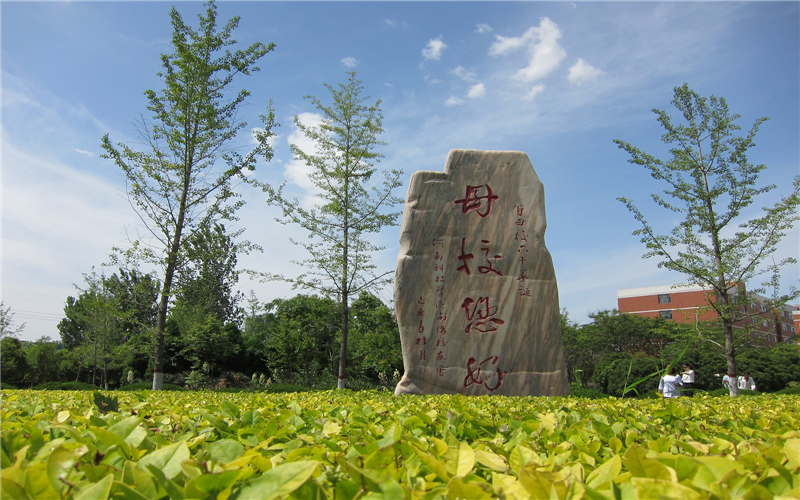 2024考生參考：2023河南科技學(xué)院數(shù)學(xué)與應(yīng)用數(shù)學(xué)（師范）專業(yè)在浙江招生錄取分?jǐn)?shù)及錄取位次