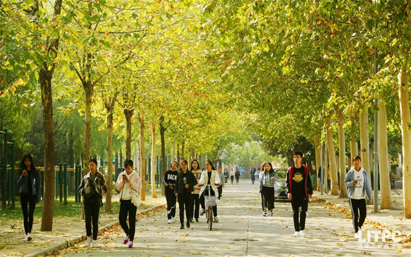 2023年洛陽理工學(xué)院在福建招生專業(yè)及招生人數(shù)匯總(2024考生參考)