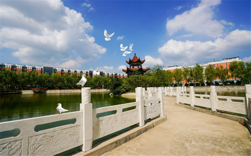 2023年商丘工學(xué)院在海南招生專業(yè)及招生人數(shù)匯總
