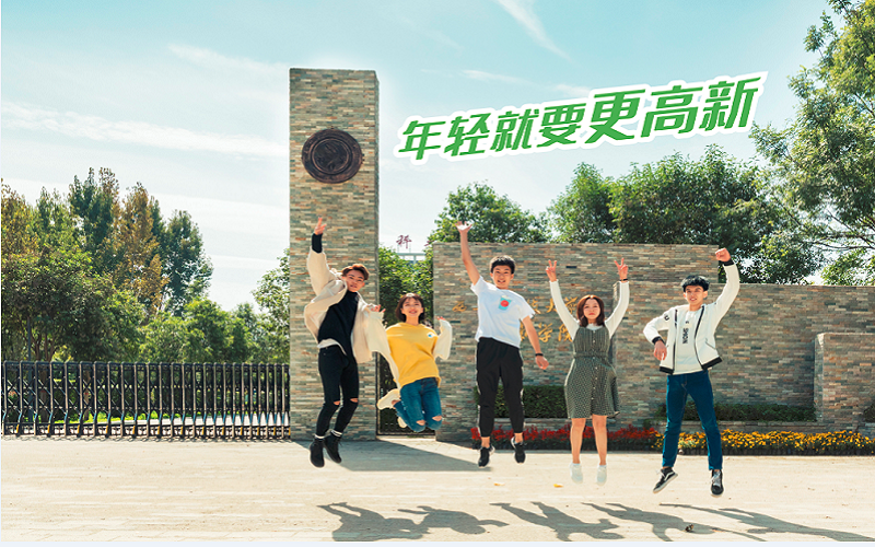 西安科技大學(xué)高新學(xué)院學(xué)前教育專業(yè)錄取分?jǐn)?shù)線【山東高考綜合】
