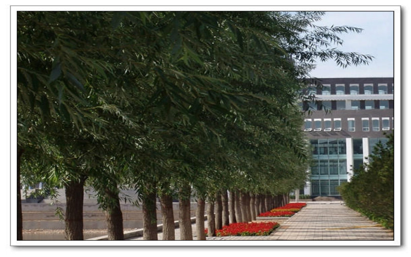 2024年呂梁學院數(shù)據(jù)科學與大數(shù)據(jù)技術(shù)專業(yè)在內(nèi)蒙古錄取分數(shù)線參考