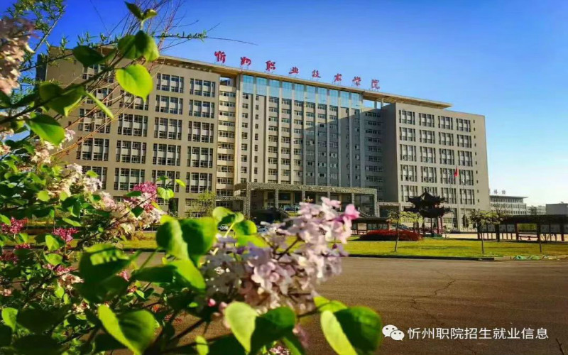 【2023高考參考】忻州職業(yè)技術學院2022年甘肅招生專業(yè)及招生計劃一覽表