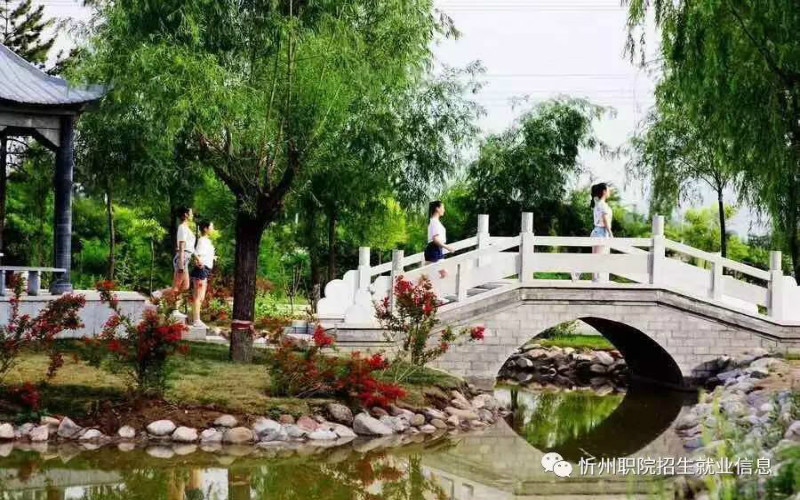 忻州職業(yè)技術(shù)學(xué)院護(hù)理專業(yè)在河北招生錄取分?jǐn)?shù)(物理類)：384分