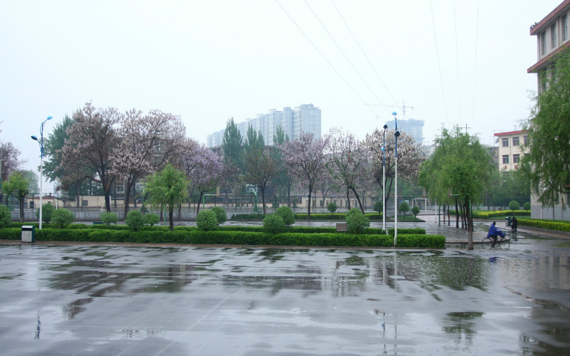 山西鐵道職業(yè)技術(shù)學(xué)院數(shù)字媒體藝術(shù)設(shè)計(jì)專(zhuān)業(yè)錄取分?jǐn)?shù)線【遼寧高考物理類(lèi)】