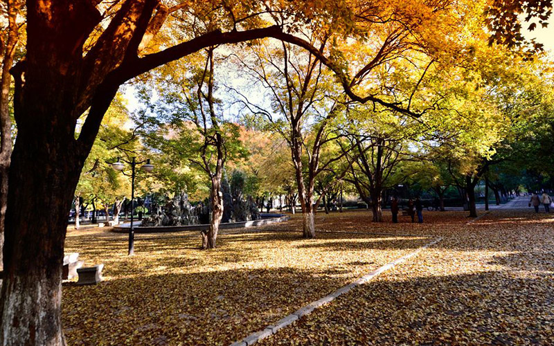 山東大學(xué)物理學(xué)類專業(yè)錄取分?jǐn)?shù)線【天津高考綜合】