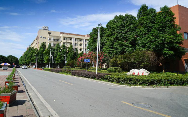 2023年電子科技大學(xué)在湖南招生專業(yè)及招生人數(shù)匯總