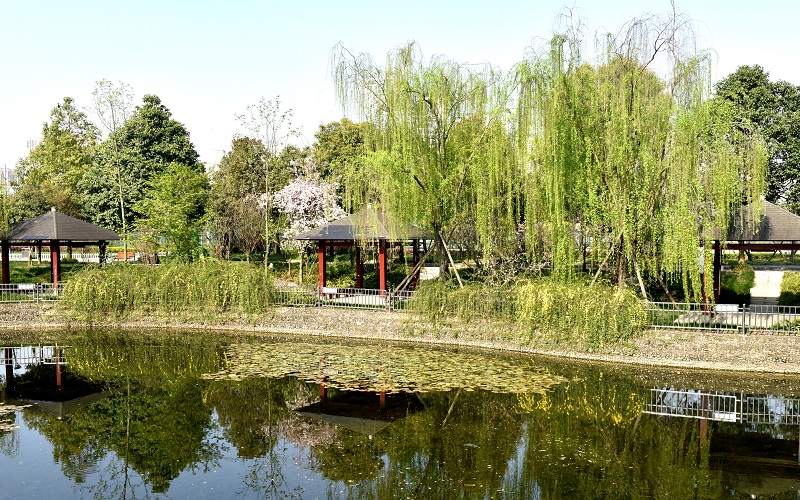 2023年成都工貿(mào)職業(yè)技術(shù)學(xué)院在四川招生專業(yè)有哪些？學(xué)費(fèi)是多少？