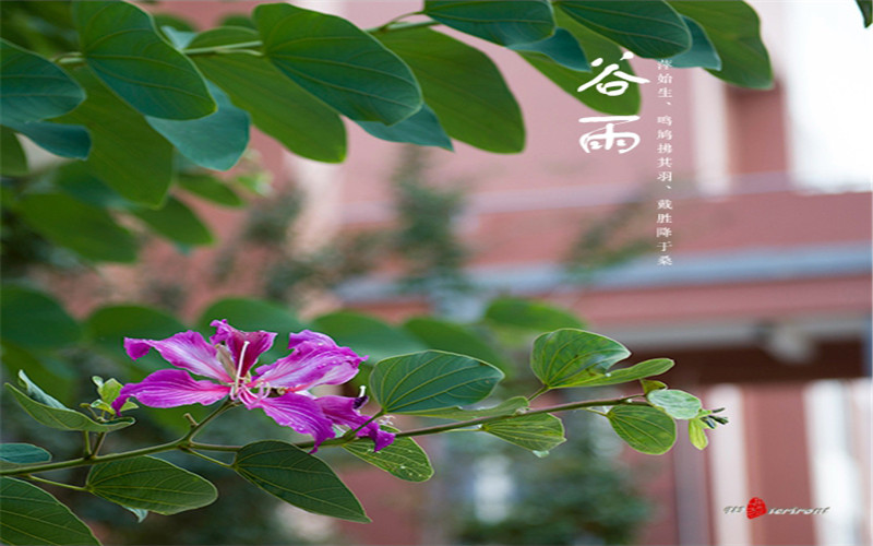 【2024內(nèi)蒙古理科參考】2023年昆明醫(yī)科大學(xué)各專業(yè)在內(nèi)蒙古招生分?jǐn)?shù)線匯總