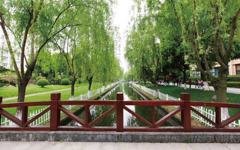 上海師范大學(xué)天華學(xué)院財(cái)務(wù)管理（一）專業(yè)在浙江招生錄取分?jǐn)?shù)(綜合)：533分