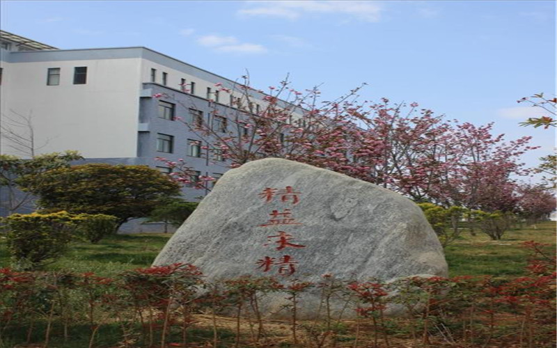 麗江師范高等?？茖W校小學英語教育（師范）專業(yè)錄取分數(shù)線【四川高考理科】