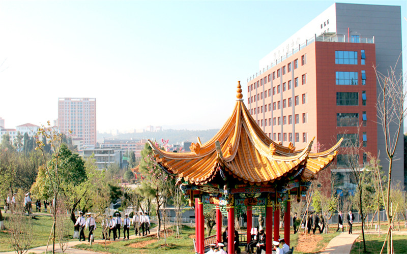 云南交通運輸職業(yè)學院現(xiàn)代家政服務(wù)與管理專業(yè)錄取分數(shù)線【云南高考理科】