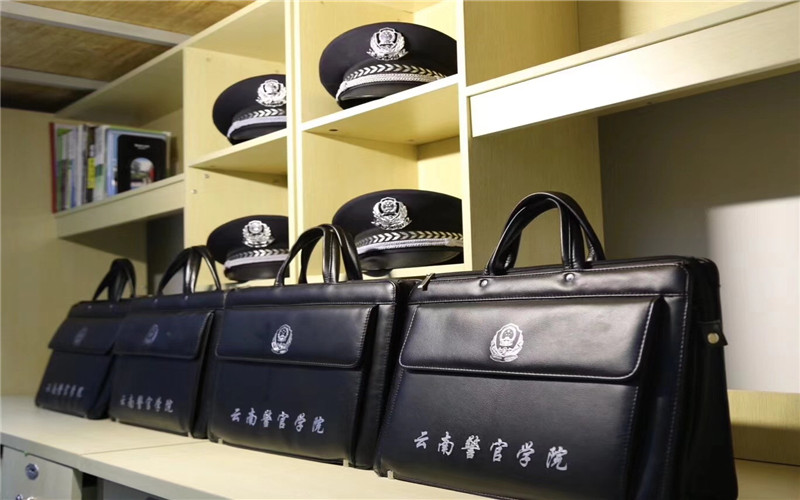 浙江綜合考生排多少名可以上云南警官學(xué)院網(wǎng)絡(luò)空間安全專業(yè)?
