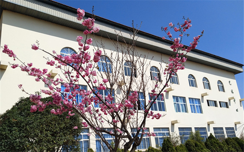 云南新興職業(yè)學(xué)院建筑消防技術(shù)專業(yè)錄取分?jǐn)?shù)線【重慶高考物理類】