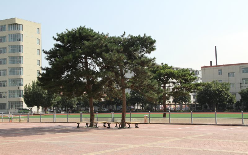 【2023高考參考】內(nèi)蒙古藝術學院2022年內(nèi)蒙古招生專業(yè)及招生計劃一覽表