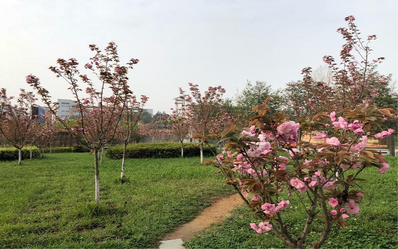 貴州醫(yī)科大學神奇民族醫(yī)藥學院護理學專業(yè)錄取分數(shù)線【廣西高考理科】