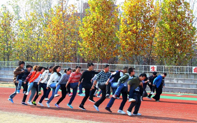 2023年內(nèi)蒙古商貿(mào)職業(yè)學院在新疆招生專業(yè)及招生人數(shù)匯總(2024考生參考)