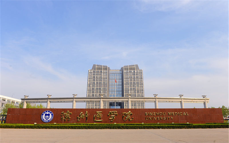 2024年濱州醫(yī)學(xué)院統(tǒng)計(jì)學(xué)專業(yè)在山東錄取分?jǐn)?shù)線參考