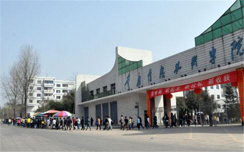 合肥信息技術(shù)職業(yè)學(xué)院建筑設(shè)計(jì)專(zhuān)業(yè)錄取分?jǐn)?shù)線【河北高考?xì)v史類(lèi)】