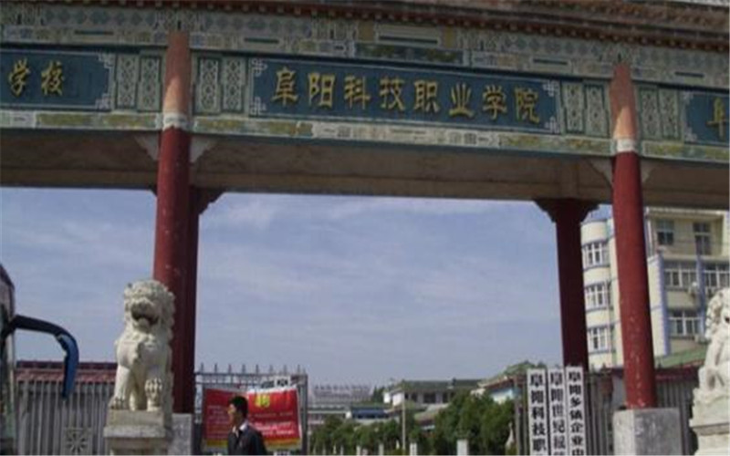 阜陽(yáng)科技職業(yè)學(xué)院大數(shù)據(jù)與財(cái)務(wù)管理專業(yè)在山東招生錄取分?jǐn)?shù)(綜合)：265分