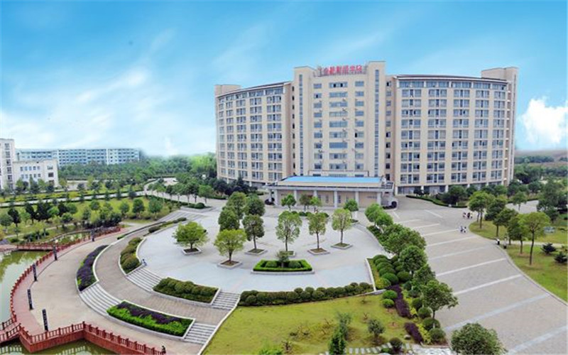 民辦合肥財經(jīng)職業(yè)學(xué)院學(xué)前教育專業(yè)在河北招生錄取分數(shù)(歷史類)：223分