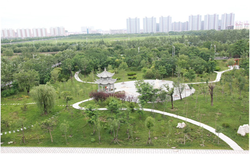 濱州職業(yè)學(xué)院大數(shù)據(jù)與會(huì)計(jì)專業(yè)錄取分?jǐn)?shù)線【河北高考物理類】