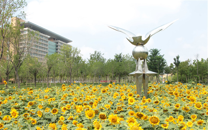 東營(yíng)職業(yè)學(xué)院電子商務(wù)專業(yè)在山東招生錄取分?jǐn)?shù)(綜合)：391分