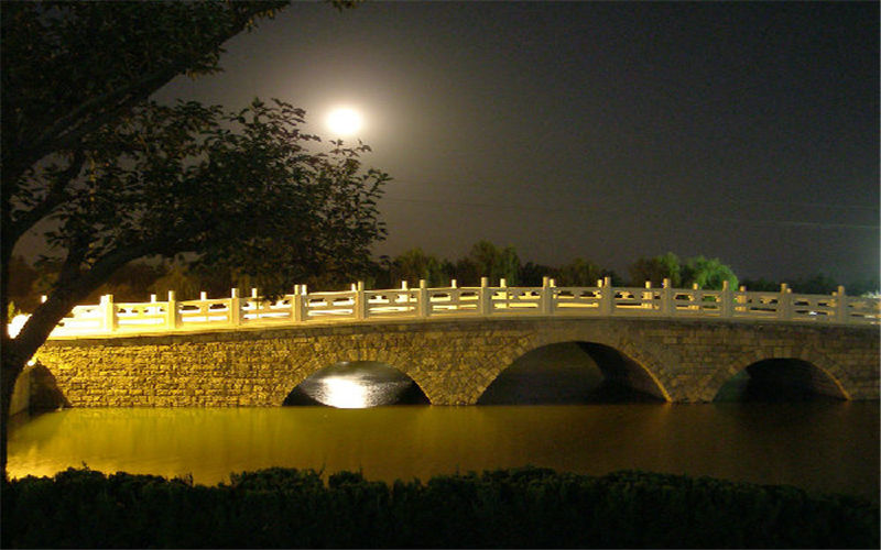 泰山職業(yè)技術(shù)學(xué)院學(xué)前教育專(zhuān)業(yè)在山東招生錄取分?jǐn)?shù)(綜合)：372分