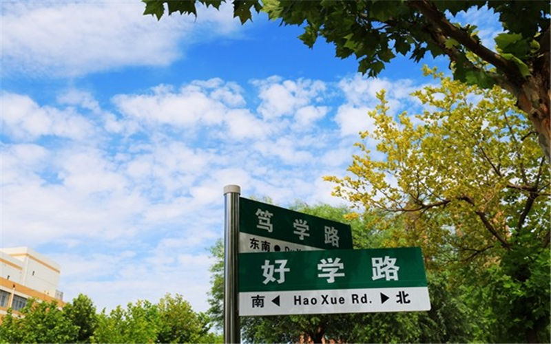 2023年煙臺(tái)工程職業(yè)技術(shù)學(xué)院在湖北招生專業(yè)及招生人數(shù)匯總