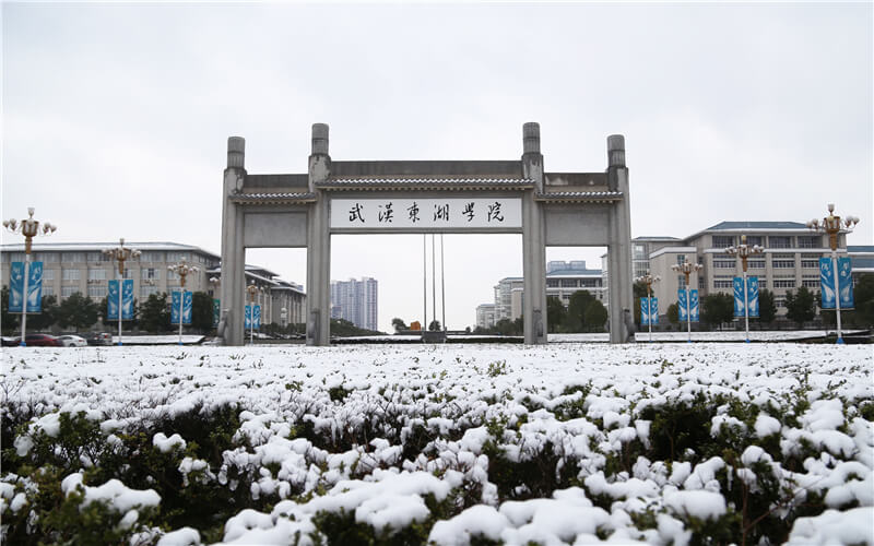 2023年山東考生多少分可以上武漢東湖學(xué)院機械設(shè)計制造及其自動化專業(yè)？