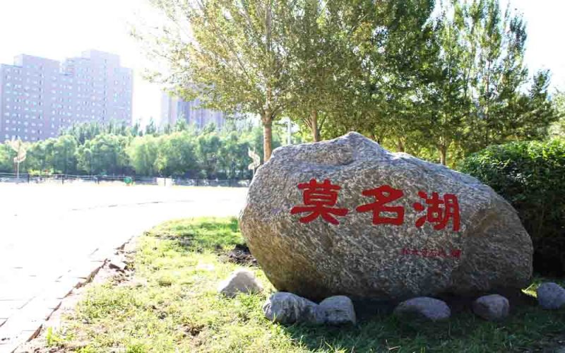 哈爾濱廣廈學(xué)院審計(jì)學(xué)專業(yè)在河北招生錄取分?jǐn)?shù)(物理類)：440分