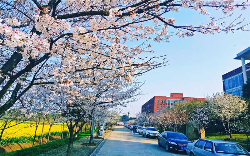 【2023高考參考】武漢城市學(xué)院2022年福建招生專業(yè)及招生計(jì)劃一覽表
