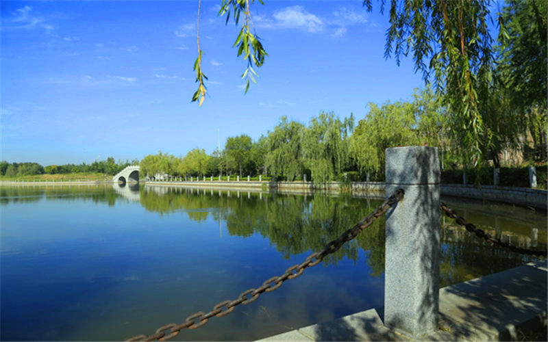 山東科技職業(yè)學(xué)院工程造價專業(yè)錄取分?jǐn)?shù)線【河北高考物理類】