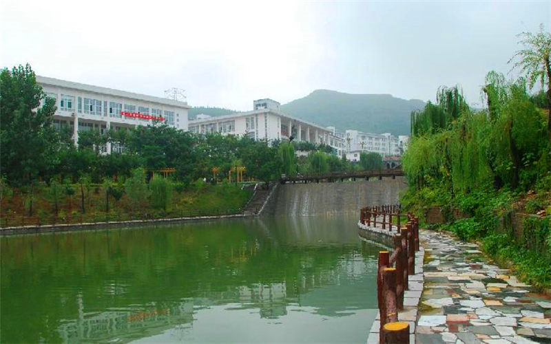2024考生參考：2023濰坊工程職業(yè)學(xué)院空中乘務(wù)專業(yè)在山東招生錄取分?jǐn)?shù)及錄取位次