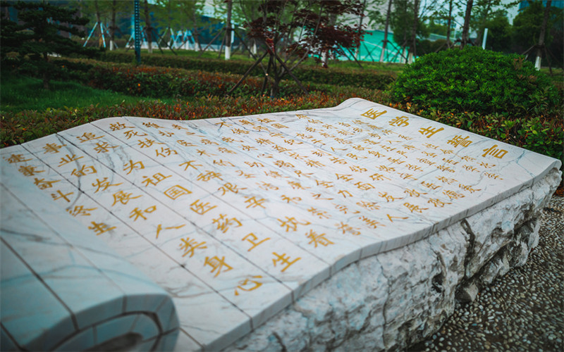 2023年南京醫(yī)科大學(xué)康達(dá)學(xué)院在遼寧招生專(zhuān)業(yè)及招生人數(shù)匯總(2024考生參考)
