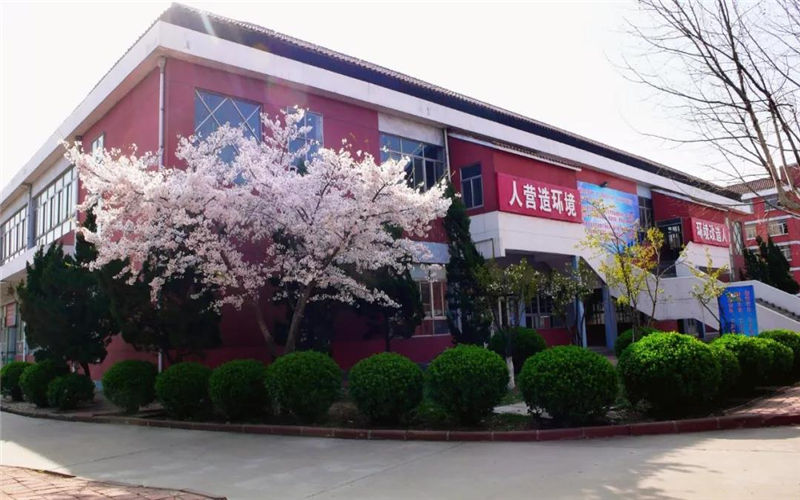 臨沂職業(yè)學院大數據與會計（中外合作辦學）專業(yè)在山東招生錄取分數(綜合)：319分