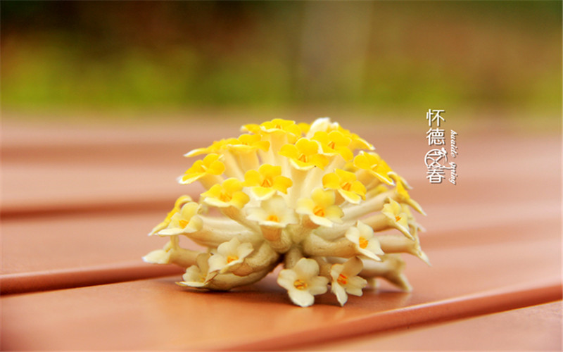 2023年山東考生多少分可以上常州大學(xué)懷德學(xué)院會(huì)計(jì)學(xué)專業(yè)？