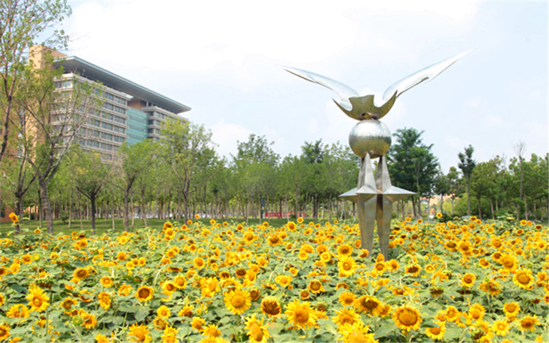 濱州職業(yè)學(xué)院護(hù)理專業(yè)在遼寧招生錄取分?jǐn)?shù)(歷史類)：397分