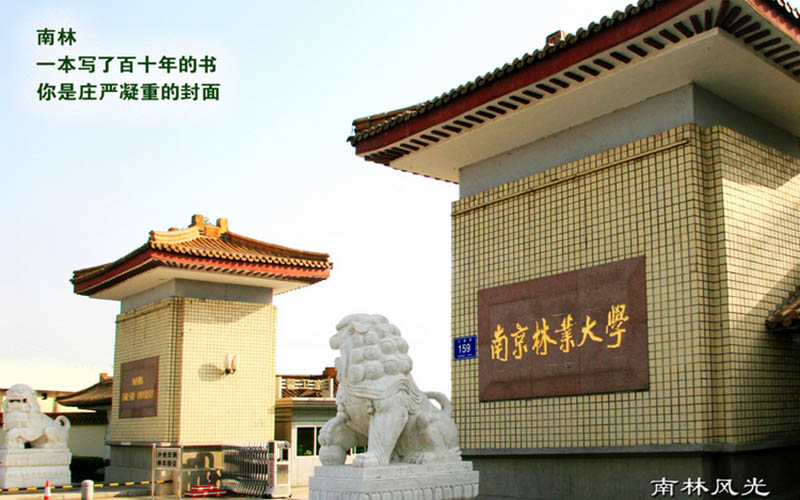 南京林業(yè)大學地理信息科學專業(yè)錄取分數(shù)線【北京高考綜合】