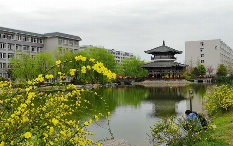 陜西理工大學(xué)國際經(jīng)濟(jì)與貿(mào)易專業(yè)在浙江招生錄取分?jǐn)?shù)(綜合)：567分
