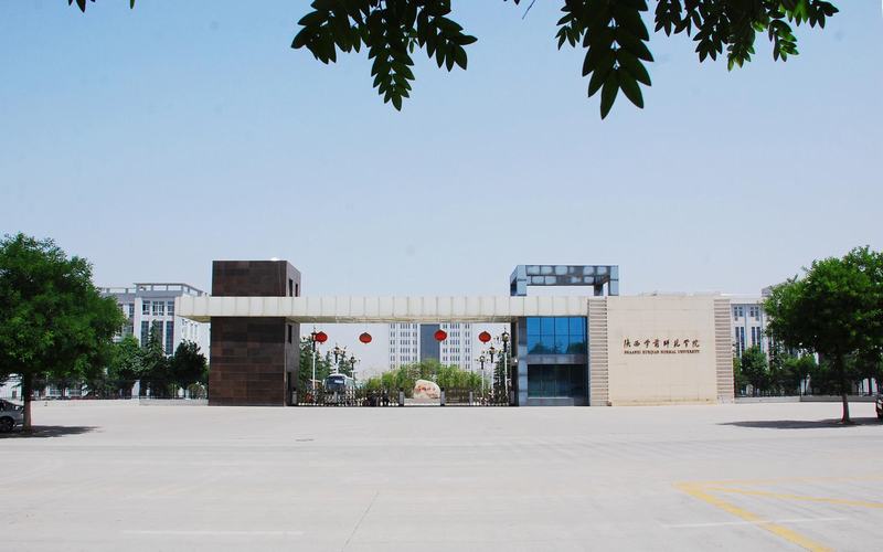 2023年陜西學(xué)前師范學(xué)院在青海招生專業(yè)及招生人數(shù)匯總