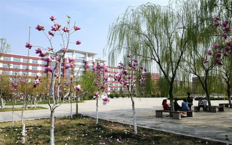 山東協(xié)和學(xué)院助產(chǎn)學(xué)專業(yè)在山東招生錄取分?jǐn)?shù)(綜合)：470分