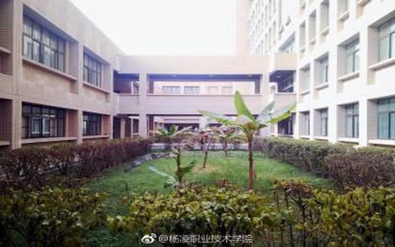 楊凌職業(yè)技術(shù)學(xué)院水利水電建筑工程專業(yè)錄取分?jǐn)?shù)線【四川高考理科】