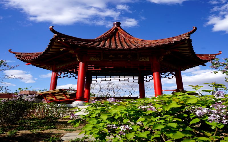 2024考生參考：2023中國醫(yī)科大學(xué)生物醫(yī)學(xué)工程專業(yè)在遼寧招生錄取分?jǐn)?shù)及錄取位次