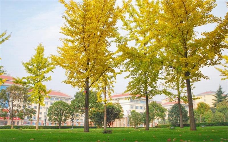 2023年西安思源學院在陜西錄取批次及錄取分數(shù)參考