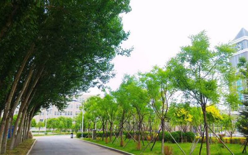 【2024遼寧歷史類參考】2023年遼寧傳媒學院各專業(yè)在遼寧招生分數(shù)線匯總