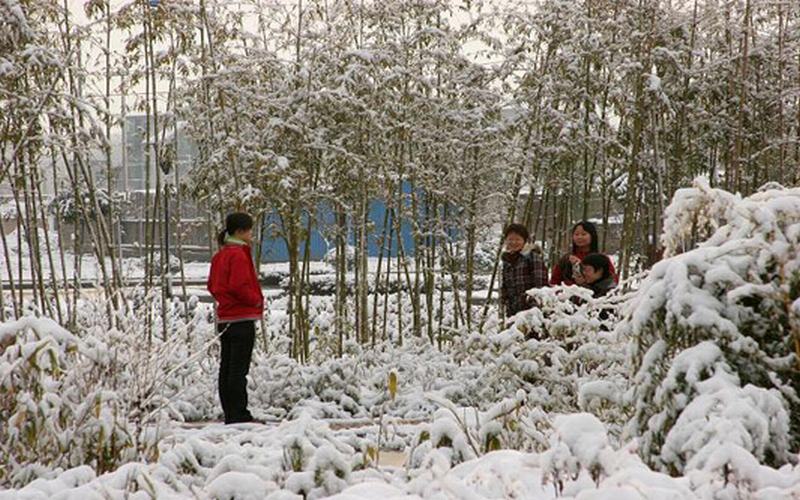 渭南師范學(xué)院學(xué)前教育（中外合作辦學(xué)）（師范）專業(yè)在浙江招生錄取分?jǐn)?shù)(綜合)：530分